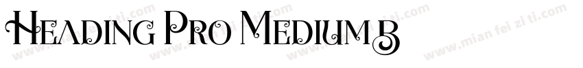 Heading Pro Medium B字体转换